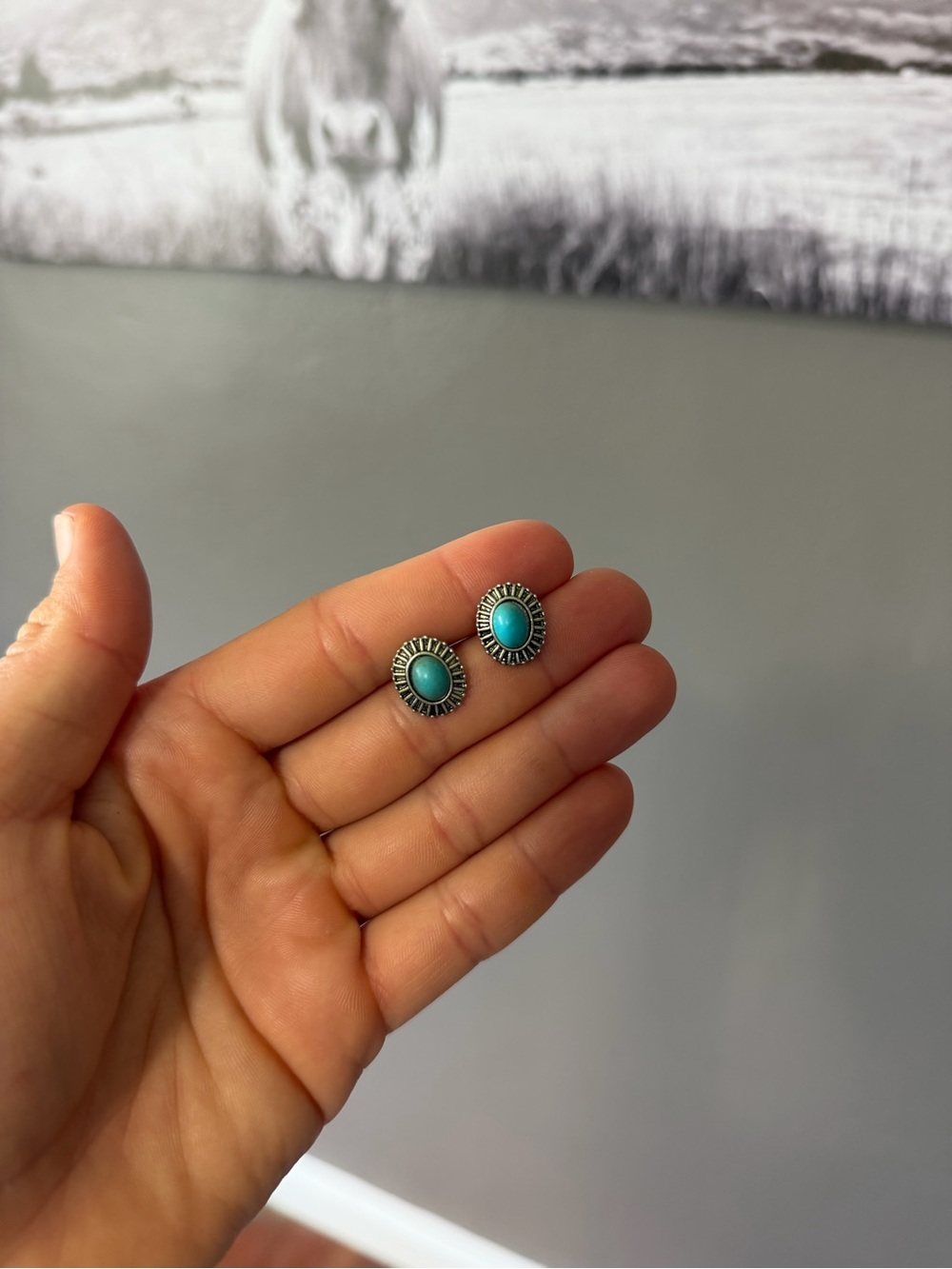 Faux Turquoise Earrings